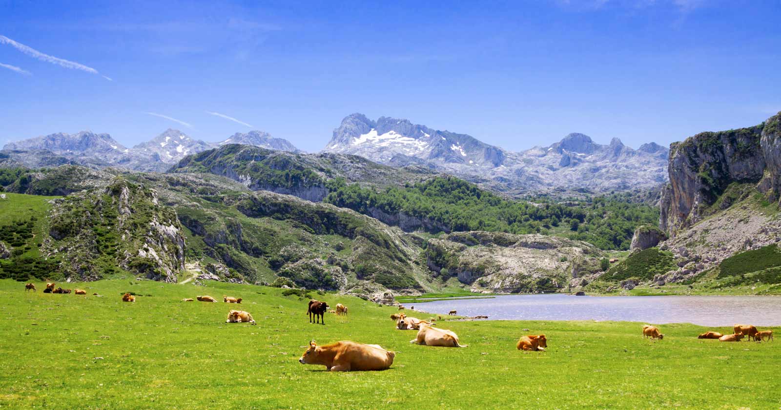 Resultado de imagen de asturias