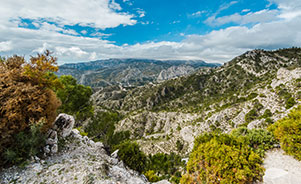 Sierra de Tejeda y Almijara, Málaga