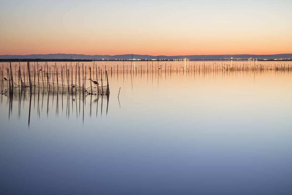 Hotel Albufera
