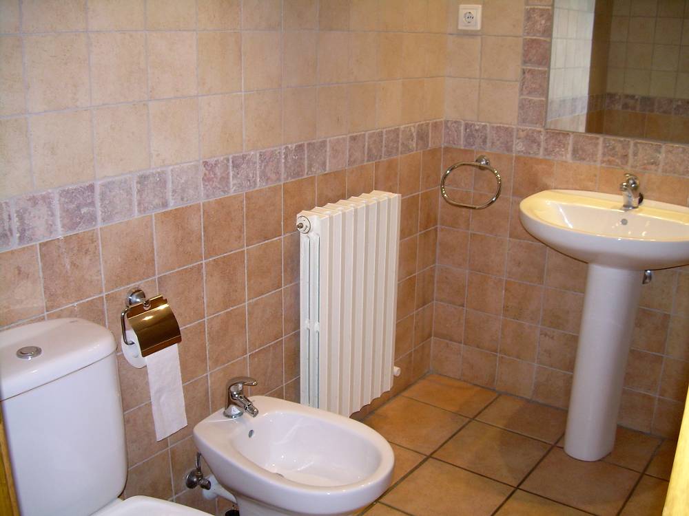 Apartamentos Biescas 3000