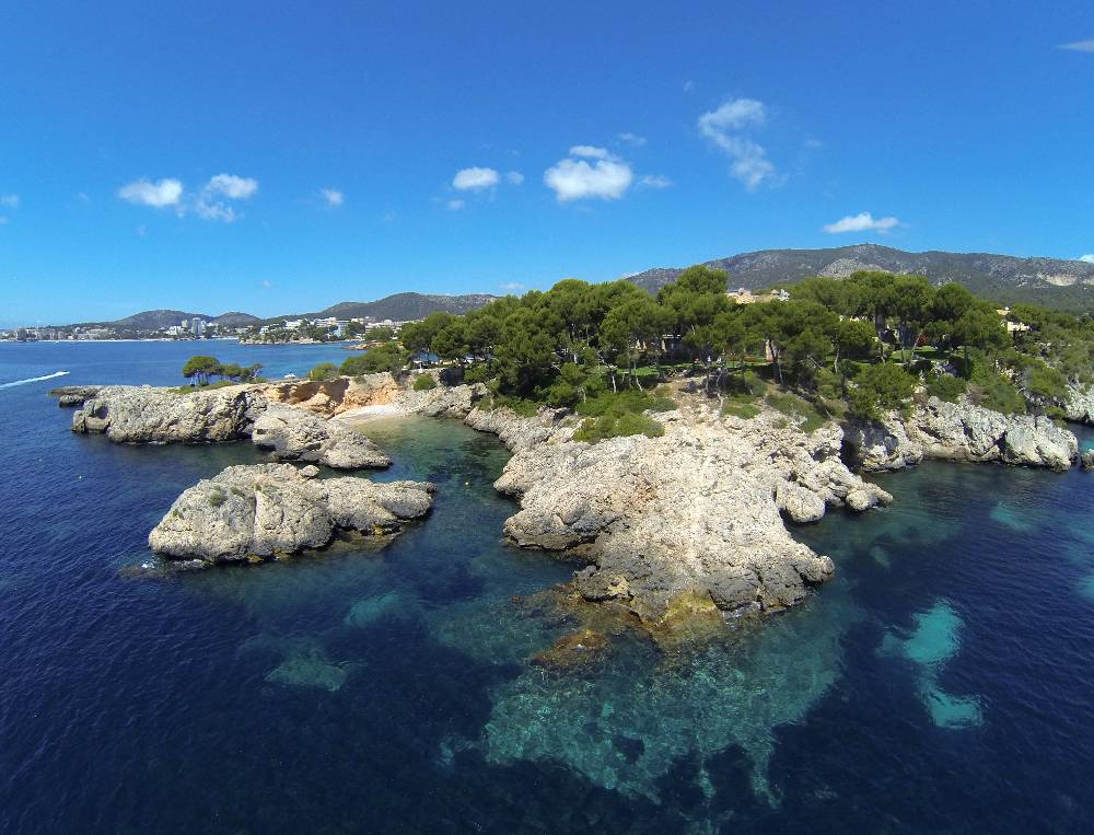 H10 Punta Negra