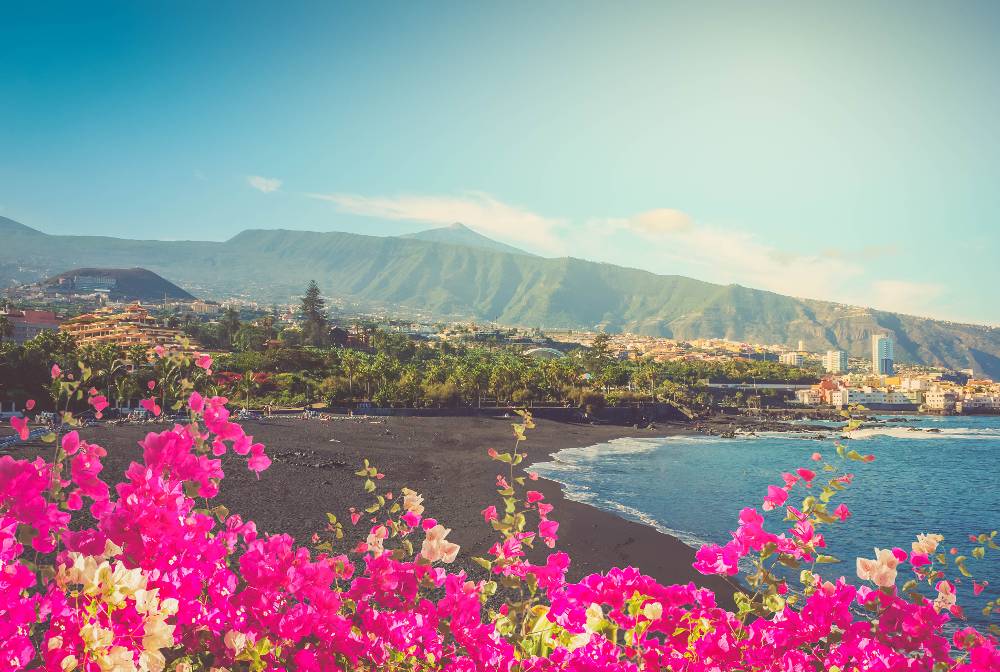 Fergus Puerto de la Cruz