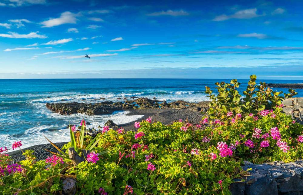 Fergus Puerto de la Cruz