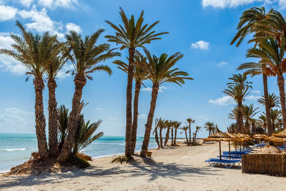 Hari Club Djerba