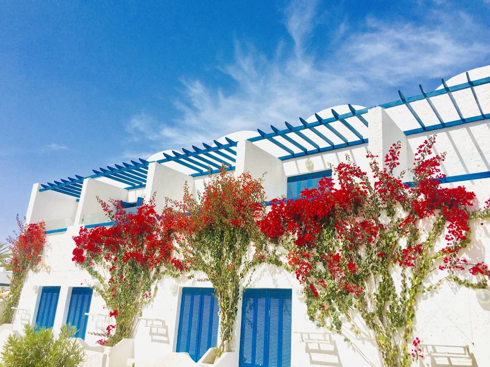 Hari Club Djerba
