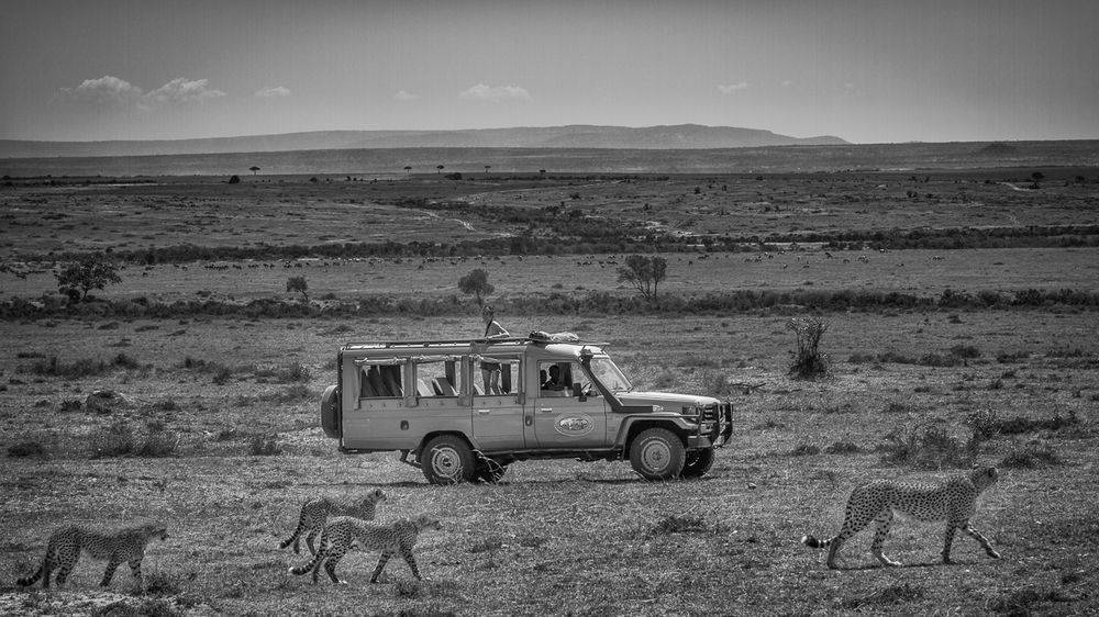 Mara Leisure Camp