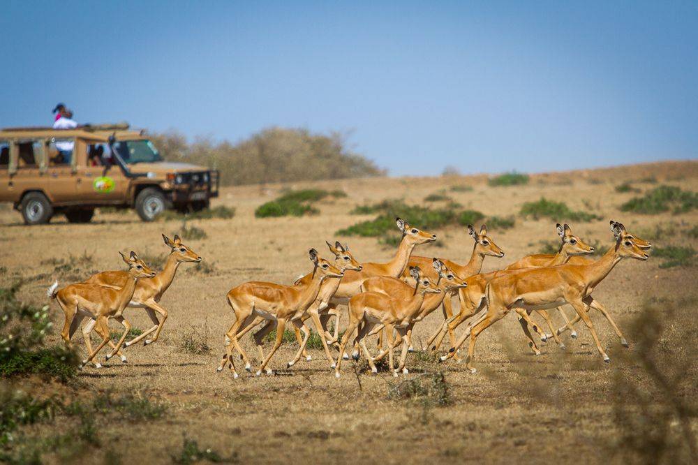 Mara Leisure Camp