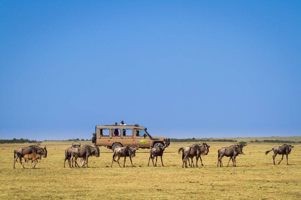 Mara Leisure Camp