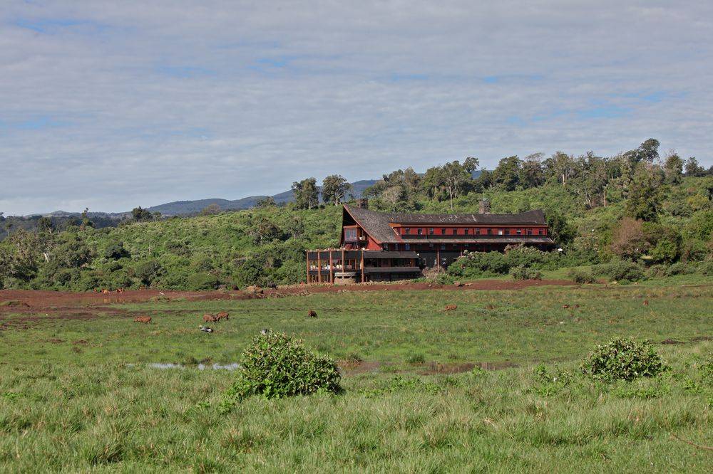 The Ark