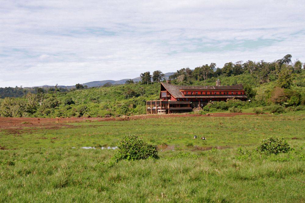 The Ark