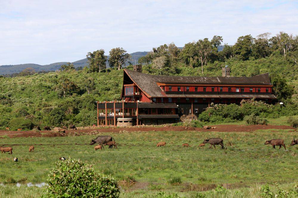 The Ark
