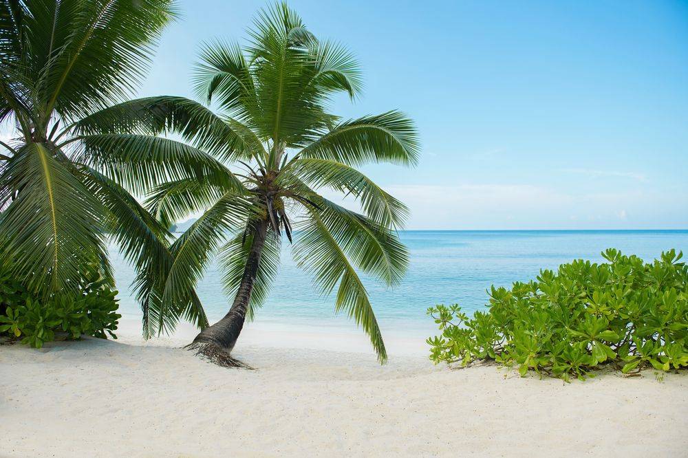 AVANI Seychelles Barbarons Resort & Spa