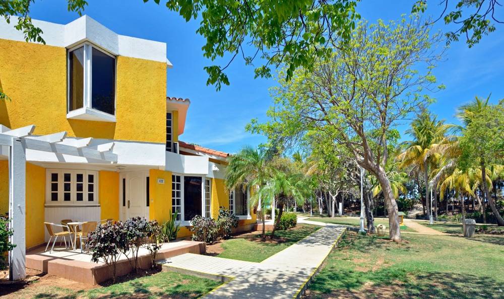 Sol Palmeras