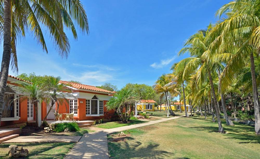 Sol Palmeras