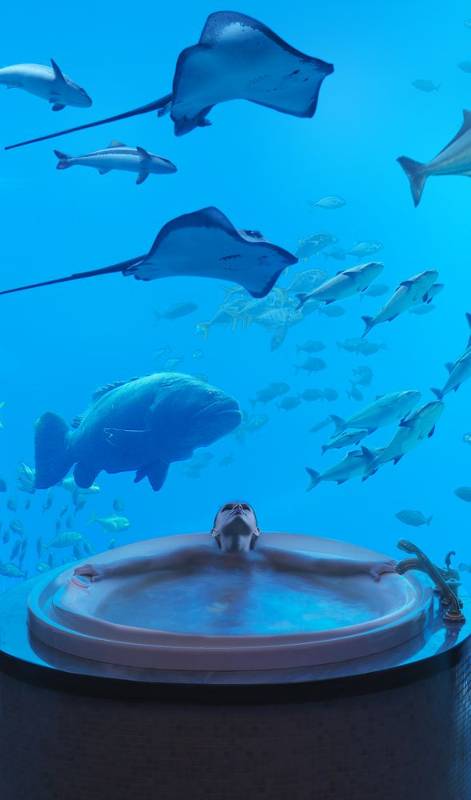 Atlantis The Palm