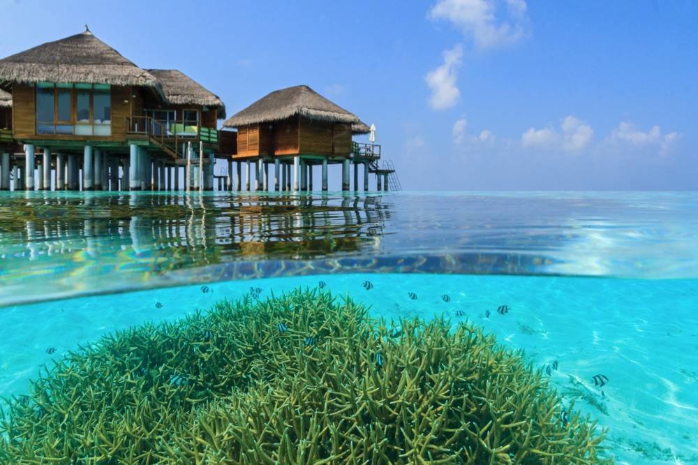 Outrigger Maldives Maafushivaru Resort