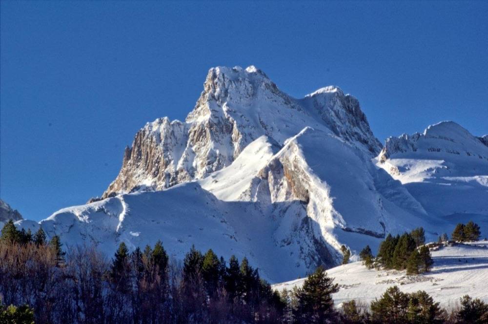 Edelweiss Candanchú