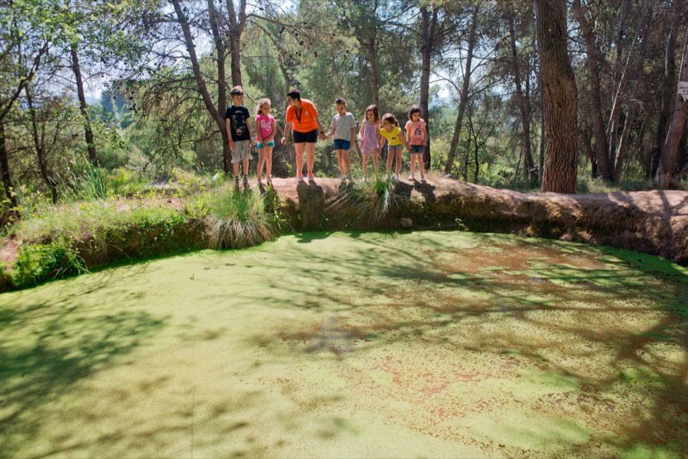 Vilar Rural De Cardona
