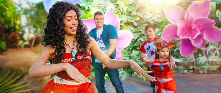 Baila con Vaiana en el Disney Music Festival