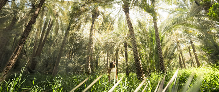 Abu Dhabi, Emiratos Árabes