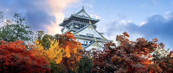 Castillo de Osaka rodeado de árboles con colores otoñales en Japón