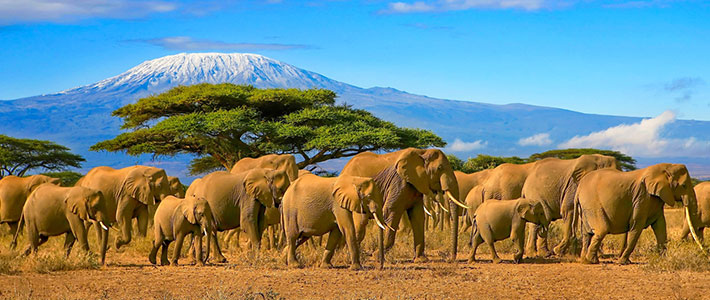 Reserva Masai Mara, Kenia