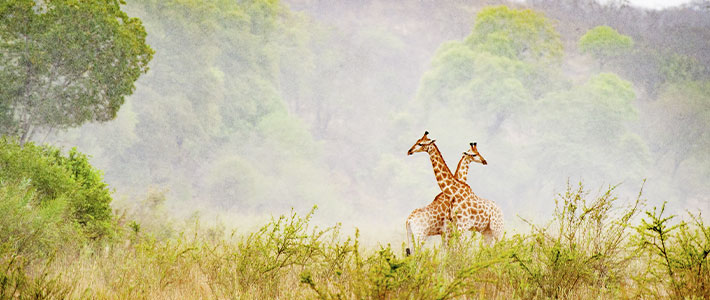 Sudafrica