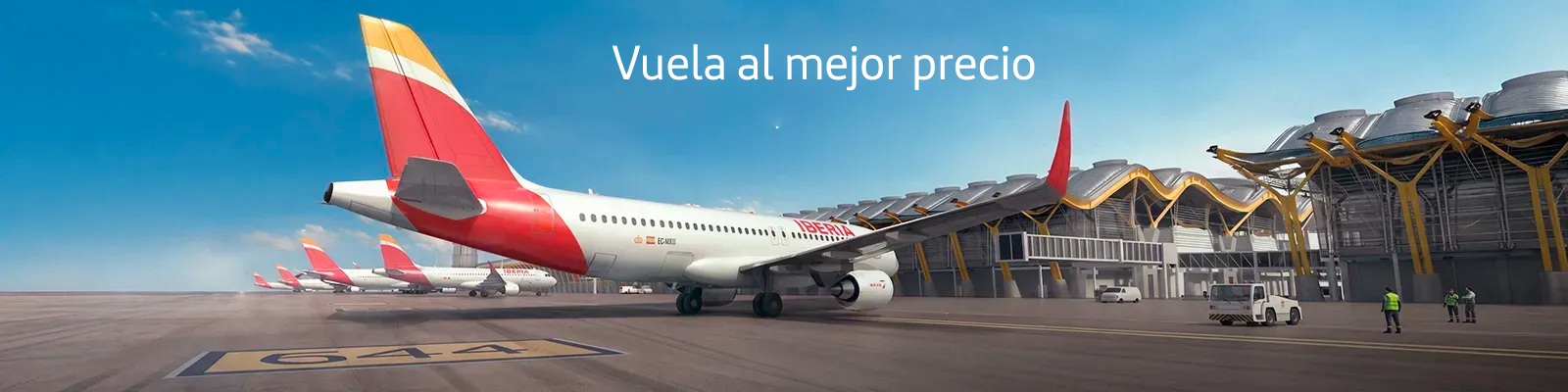 Disfruta de las mejores ofertas
