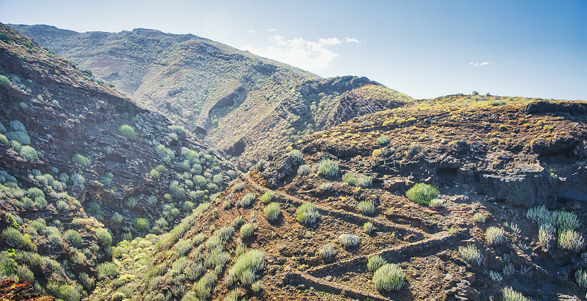 La Palma Teneguia