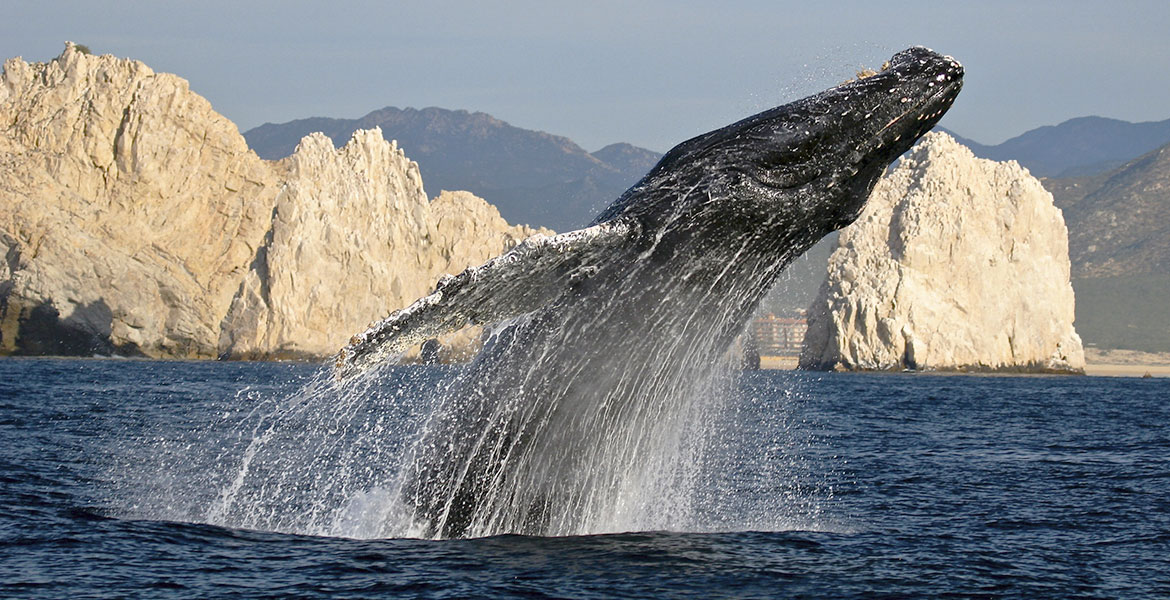 Los Cabos México