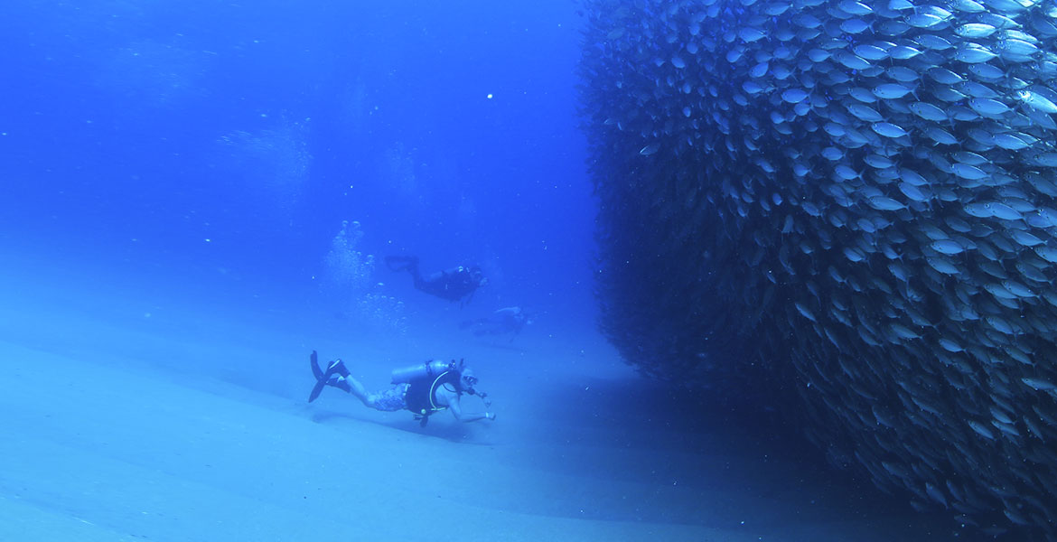Los Cabos México