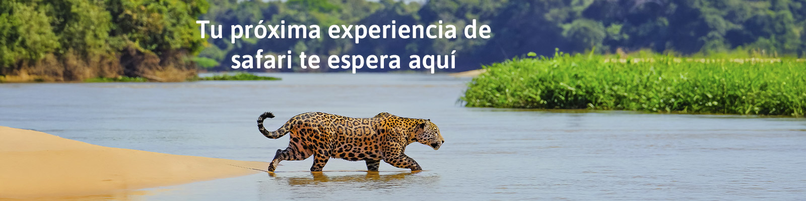 Aventura, naturaleza y mucho más