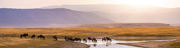 Parque Nacional del cráter Ngorongoro, Tanzania