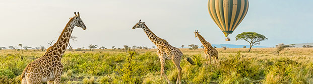 Parque Nacional del Serengeti, Tanzania