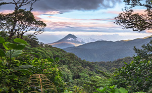 Reserva de Monteverde, Costa Rica