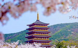 Templo Grotto en Gyeongju, Corea del Sur.