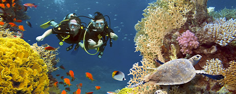 Buceo en Maldivas