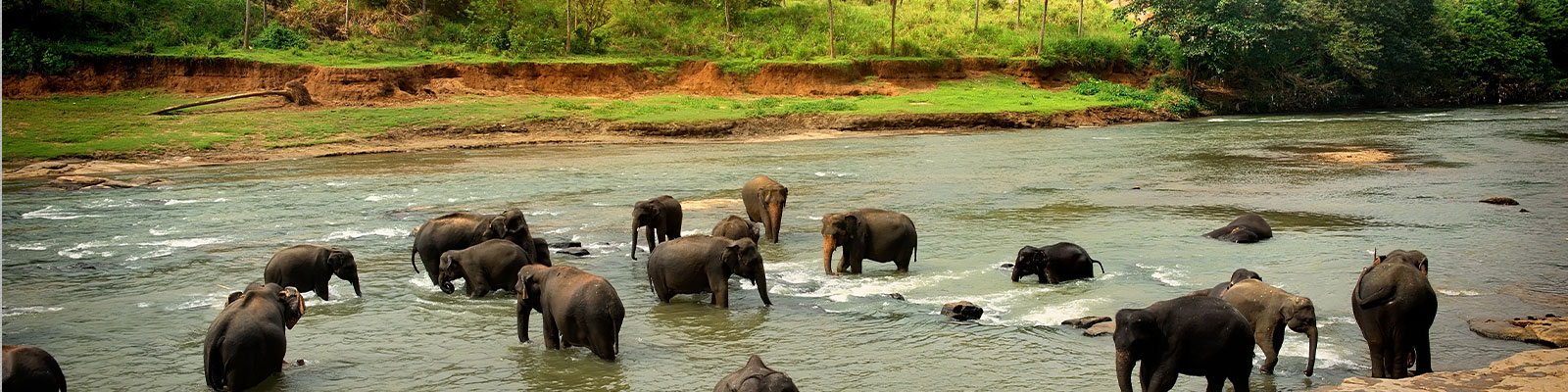Sri Lanka