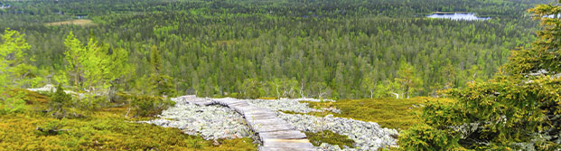 Laponia, Finlandia