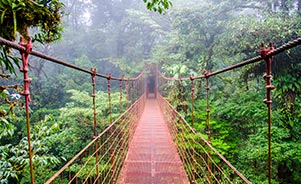 Monteverde. Costa Rica