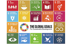 The global goals for sustainable development