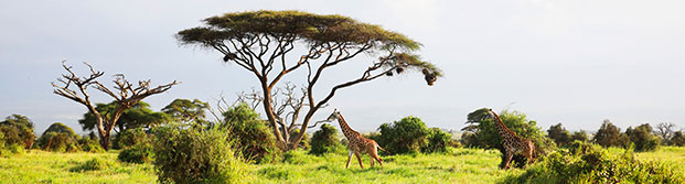 Kenia