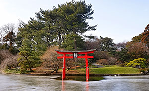 Torii rojo en Jardín Japonés