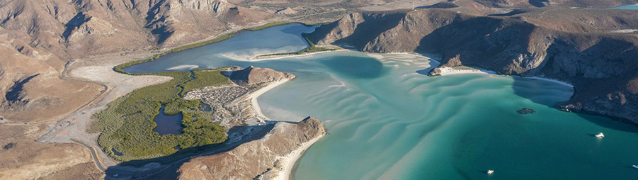 Golfo de California, México