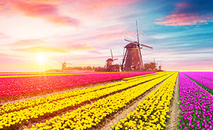 Kinderdijk, Países Bajos