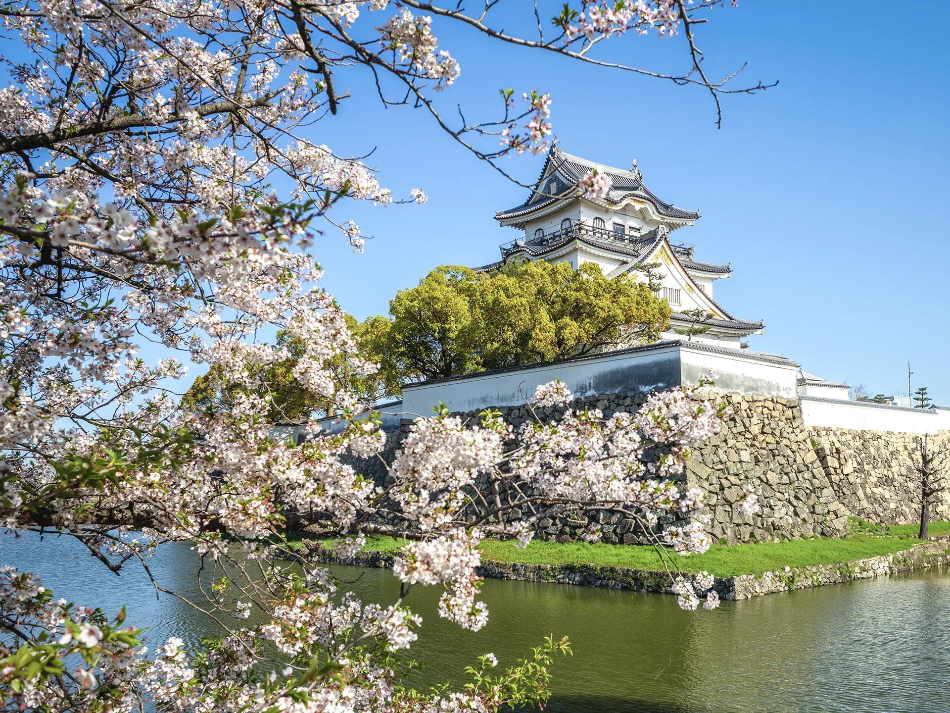 Japón