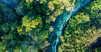 Mato Grosso do Sul