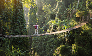 Aventura por la selva