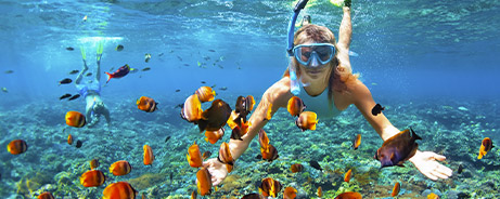 Buceo