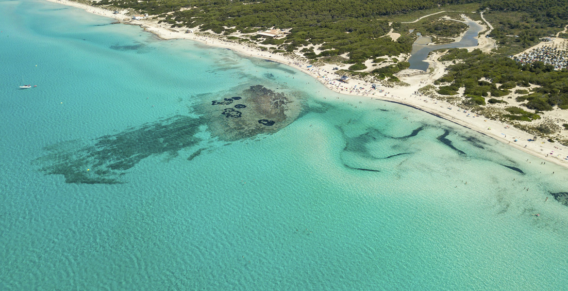 Mallorca Playa es Trenc